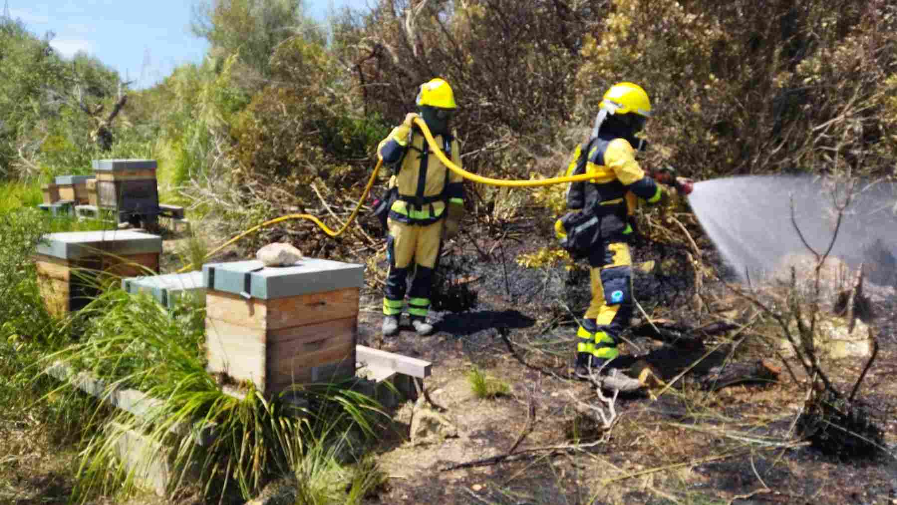 Agentes del Ibanat extinguiendo el incendio.