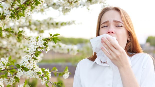 alergia polen madrid