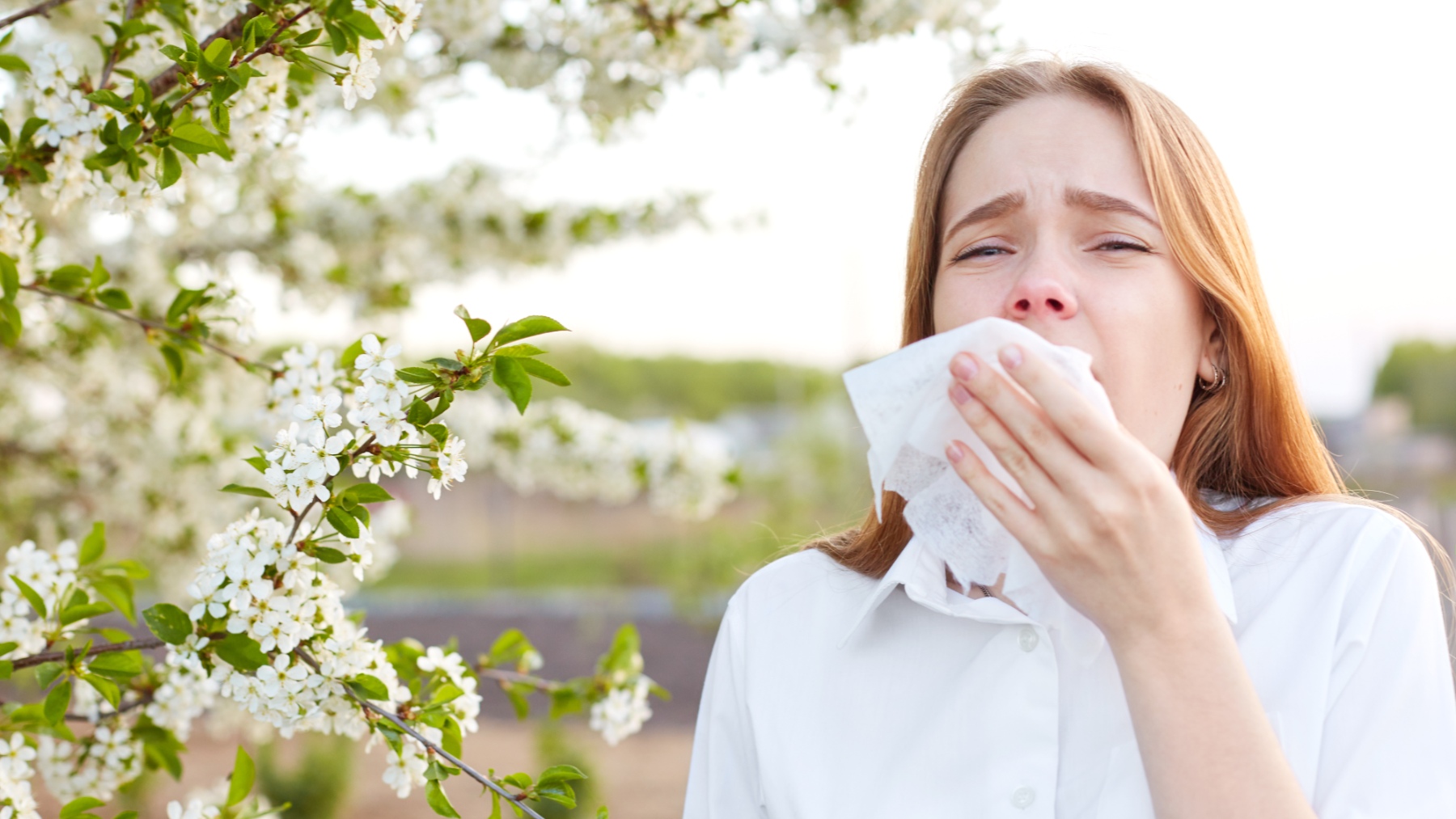 Madrid tiene activo su sistema gratuito de información sobre la presencia de especies alergénicas en el aire hasta el 30 de junio