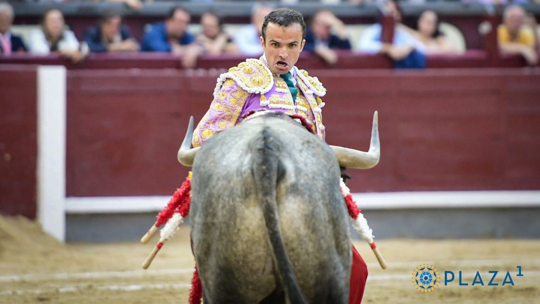 Damián Castaño en las Ventas. (Foto: Plaza 1)