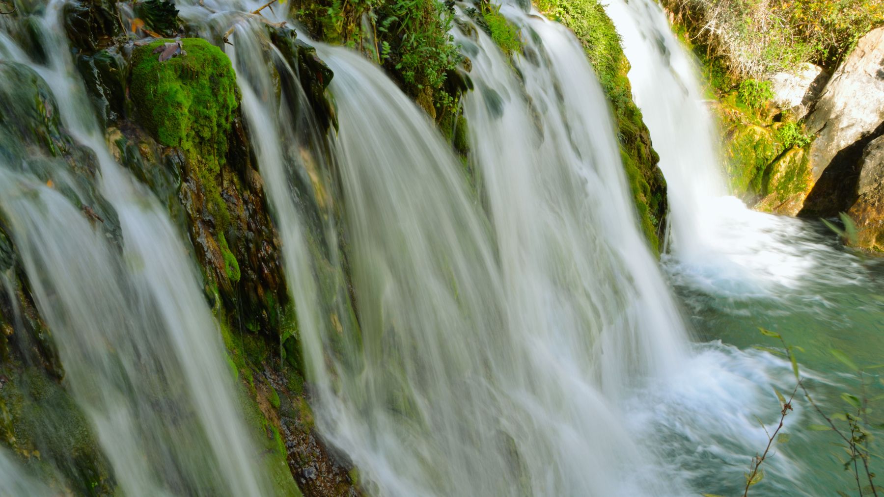 Fuentes de Algar.