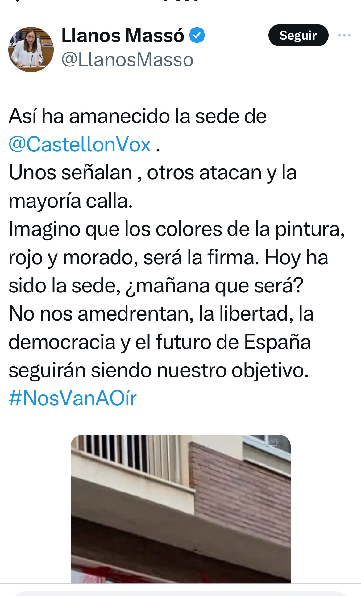 Atacan con pintura morada y roja la sede de Vox en Castellón a cinco ...