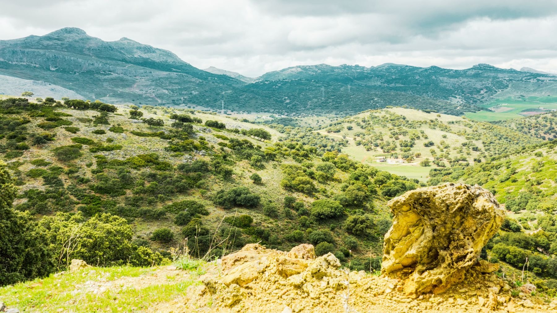 Sierra de Málaga.