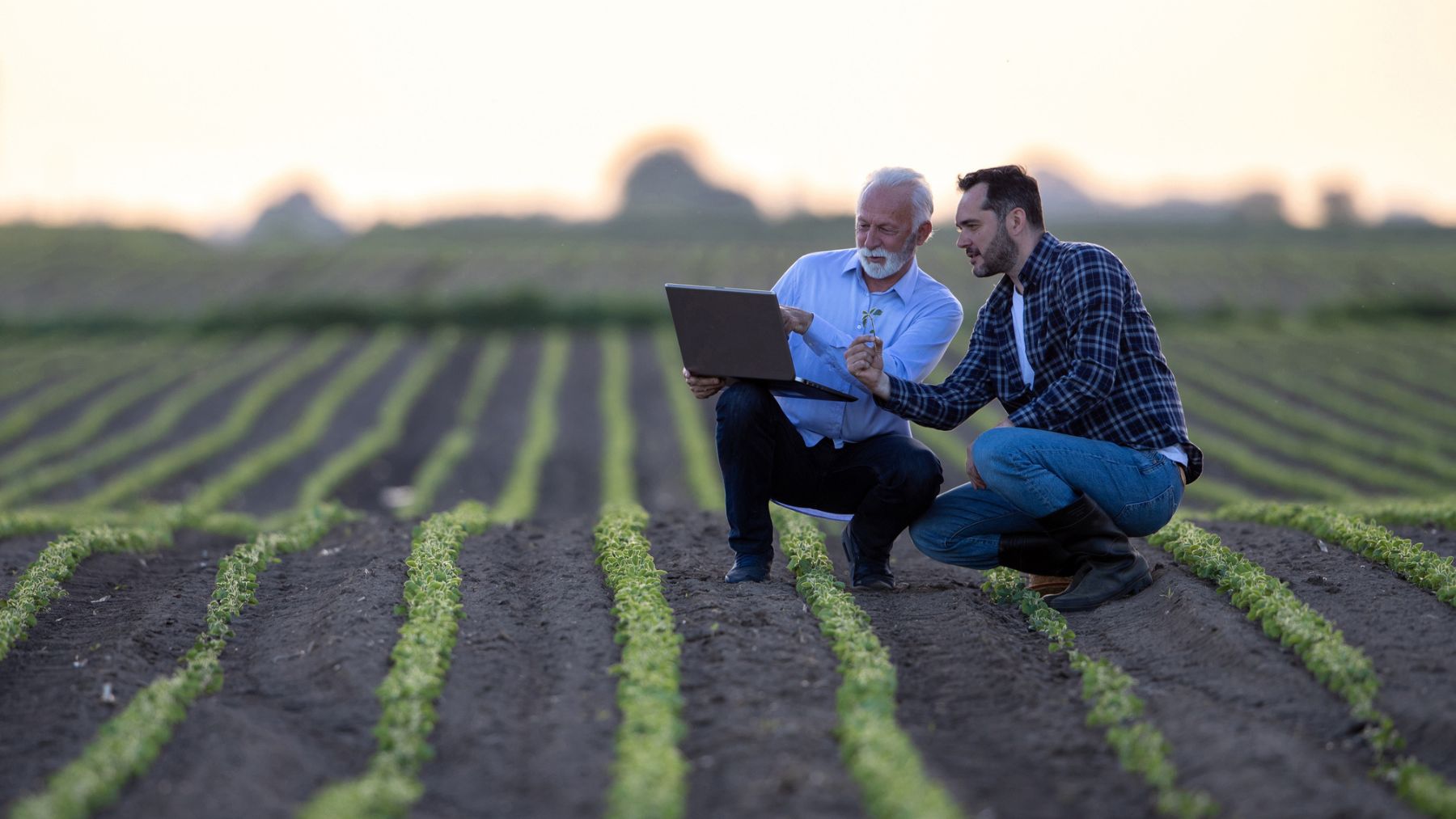 Unos agricultores con un ordenador en el campo.