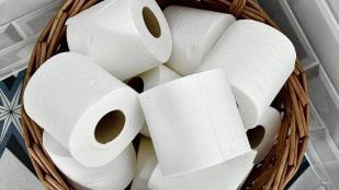 Limpiarse con papel higiénico, papel higiénico,