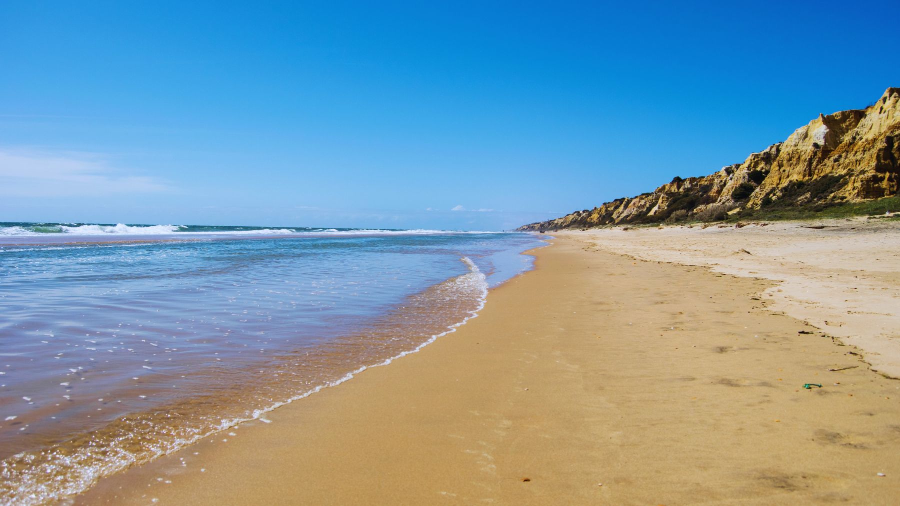 Playa de Doñana.