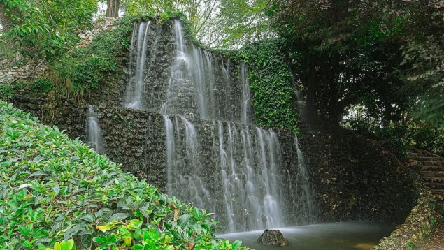 Naturaleza parque Madrid