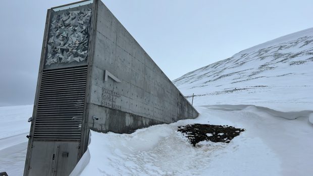 Banco Mundial de Semillas de Svalbard en el Polo Norte