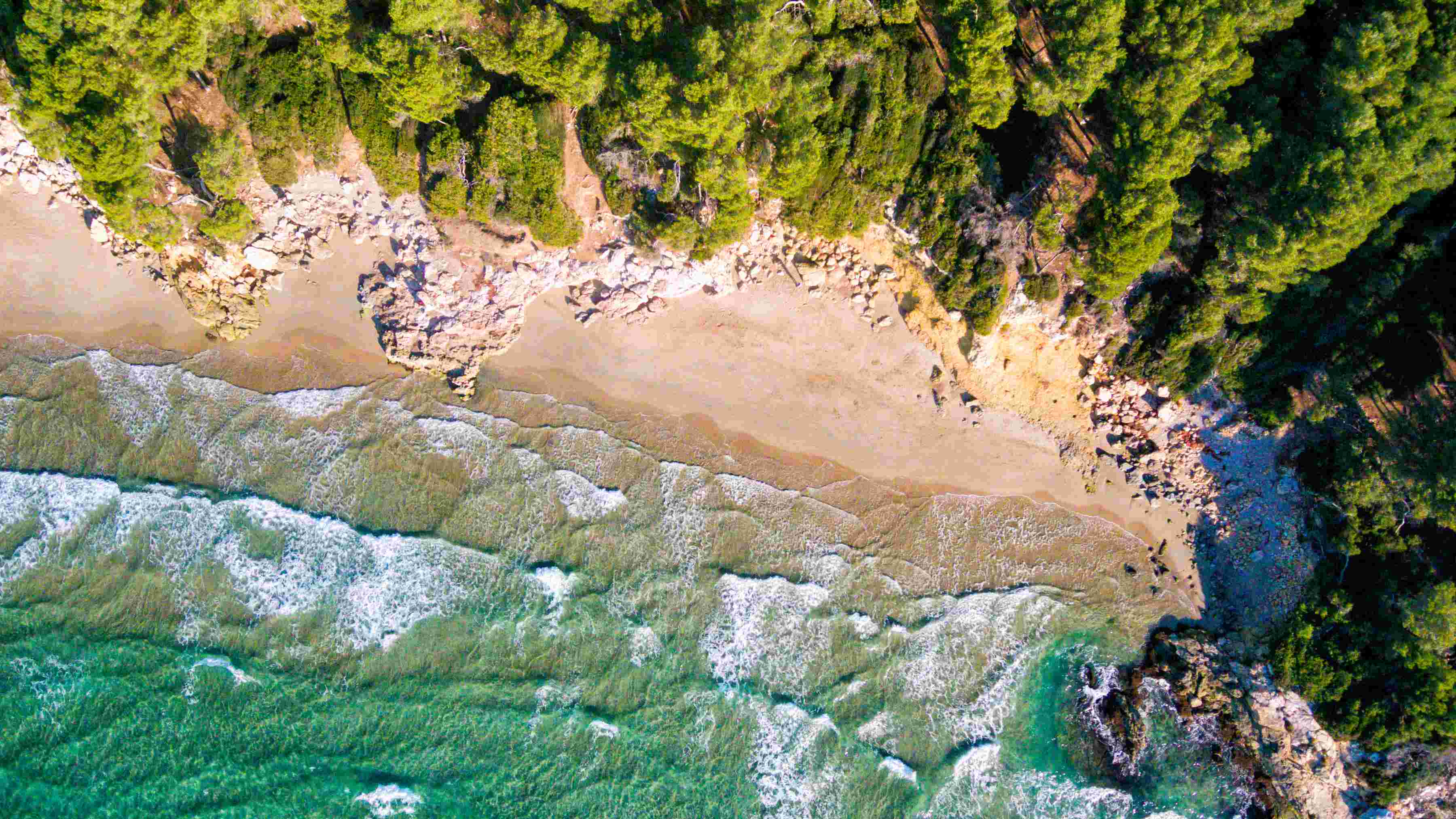 Playas con bandera negra en Cataluña