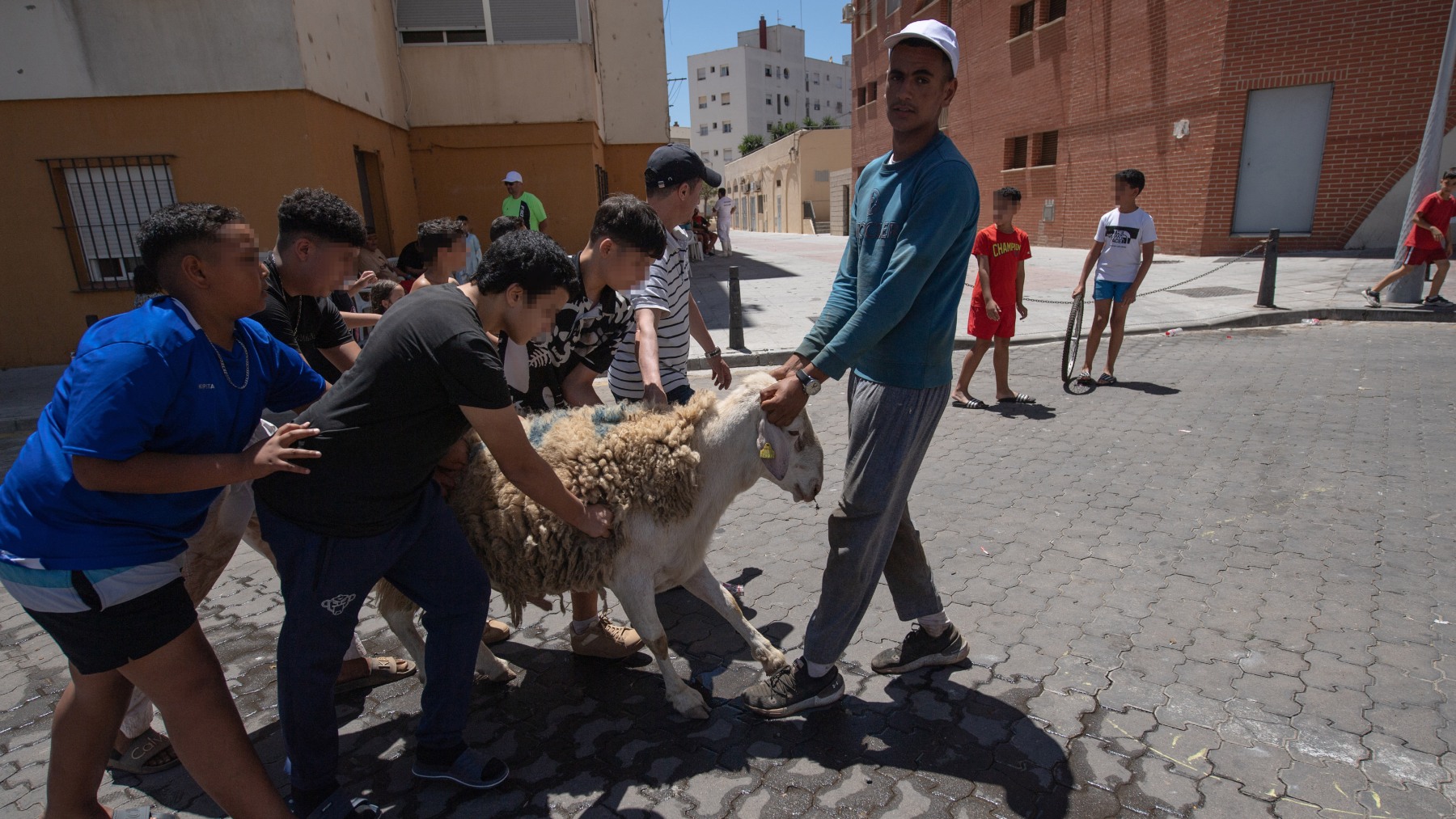 Vecinos de Ceuta sujetan un cordero durante la Fiesta del Sacrificio. (Foto: EP)
