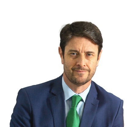El consejero delegado de Neoenergia, Eduardo Capelastegui