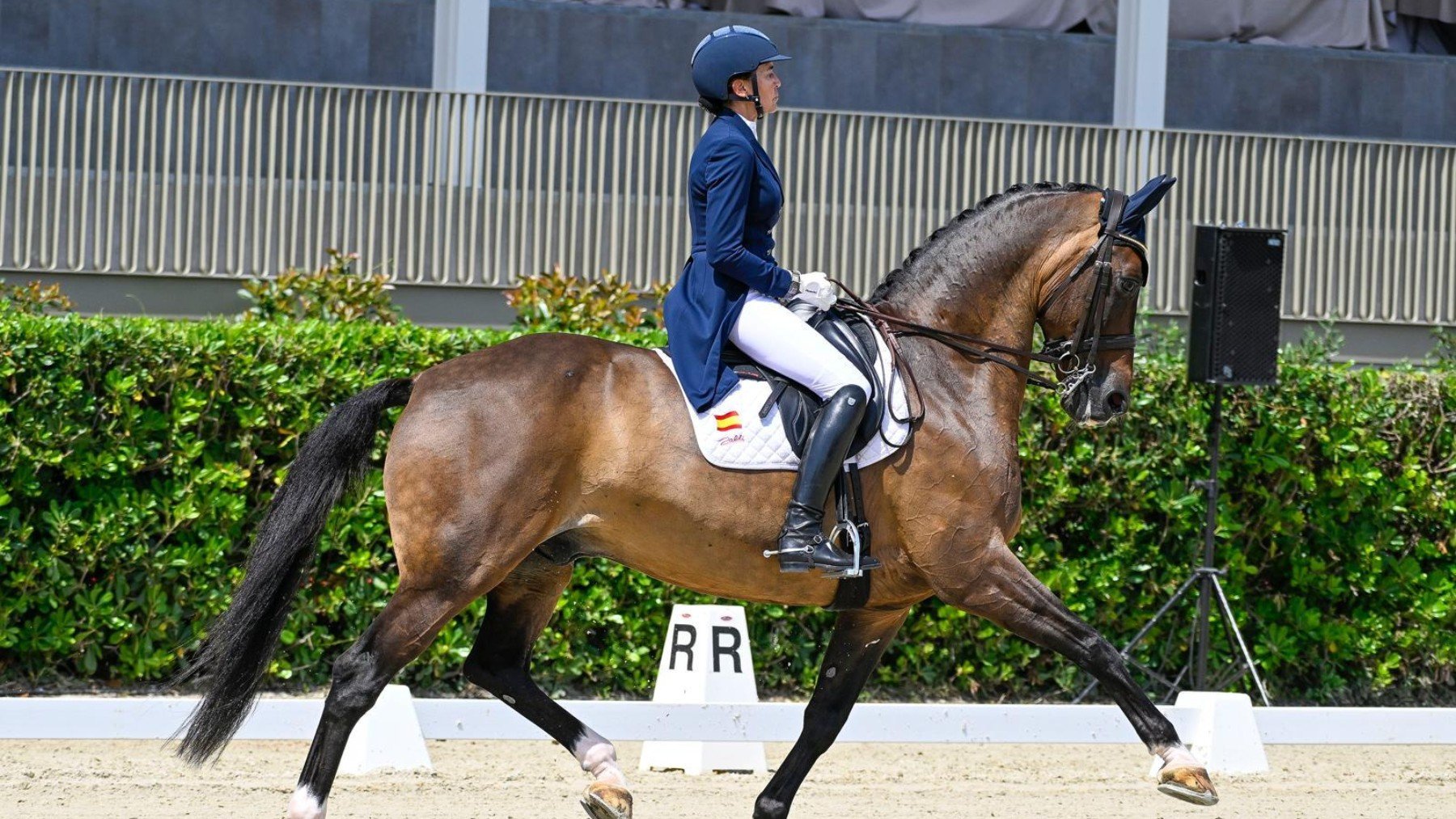 Beatriz Ferrer-Salat, leyenda de la hípica española. (AR equestrian photography)