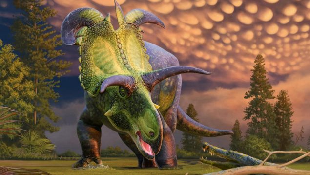 Loki, el dinosaurio herbívoro con la cornamenta más grande y colorida de todos