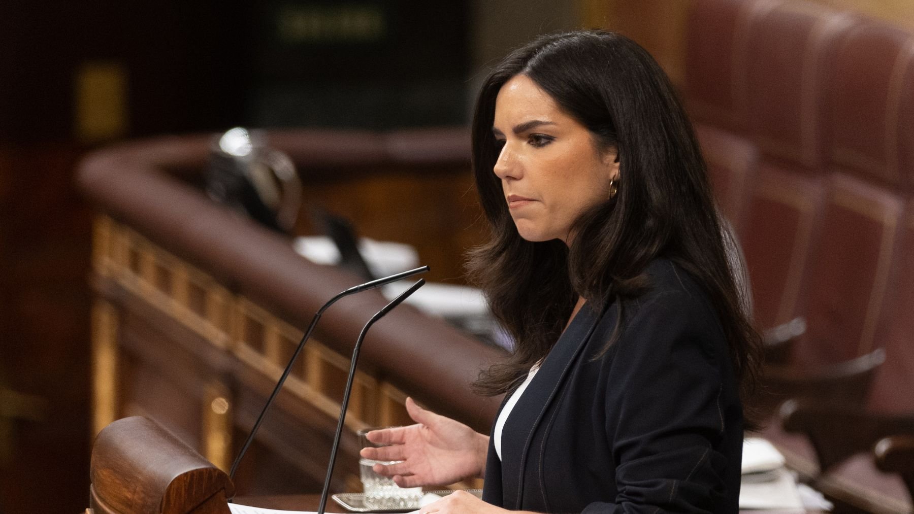 Pepa Millán, portavoz de Vox en el Congreso. (Foto: EP)