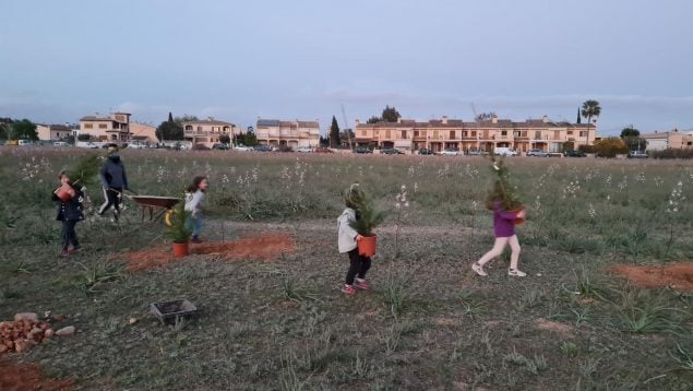 Marratxí parques fotovoltaicos