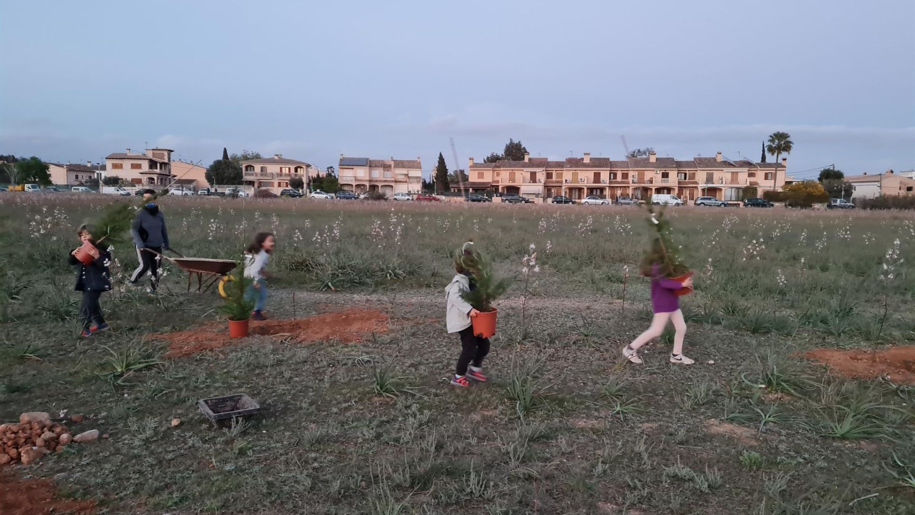 Vecinos de Son Bonet plantan árboles en la zona en la que Aena proyectó un parque fotovoltaico.