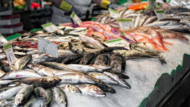 Foto de varias especies de pescado en una pescadería.