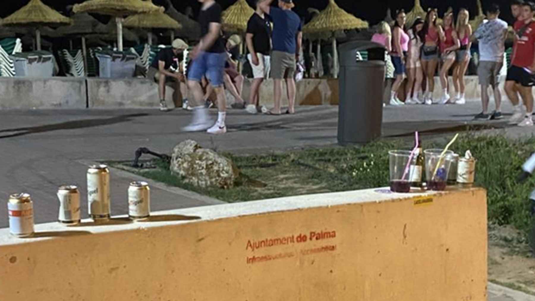 Latas de cerveza y vasos en primera línea de Playa de Palma.
