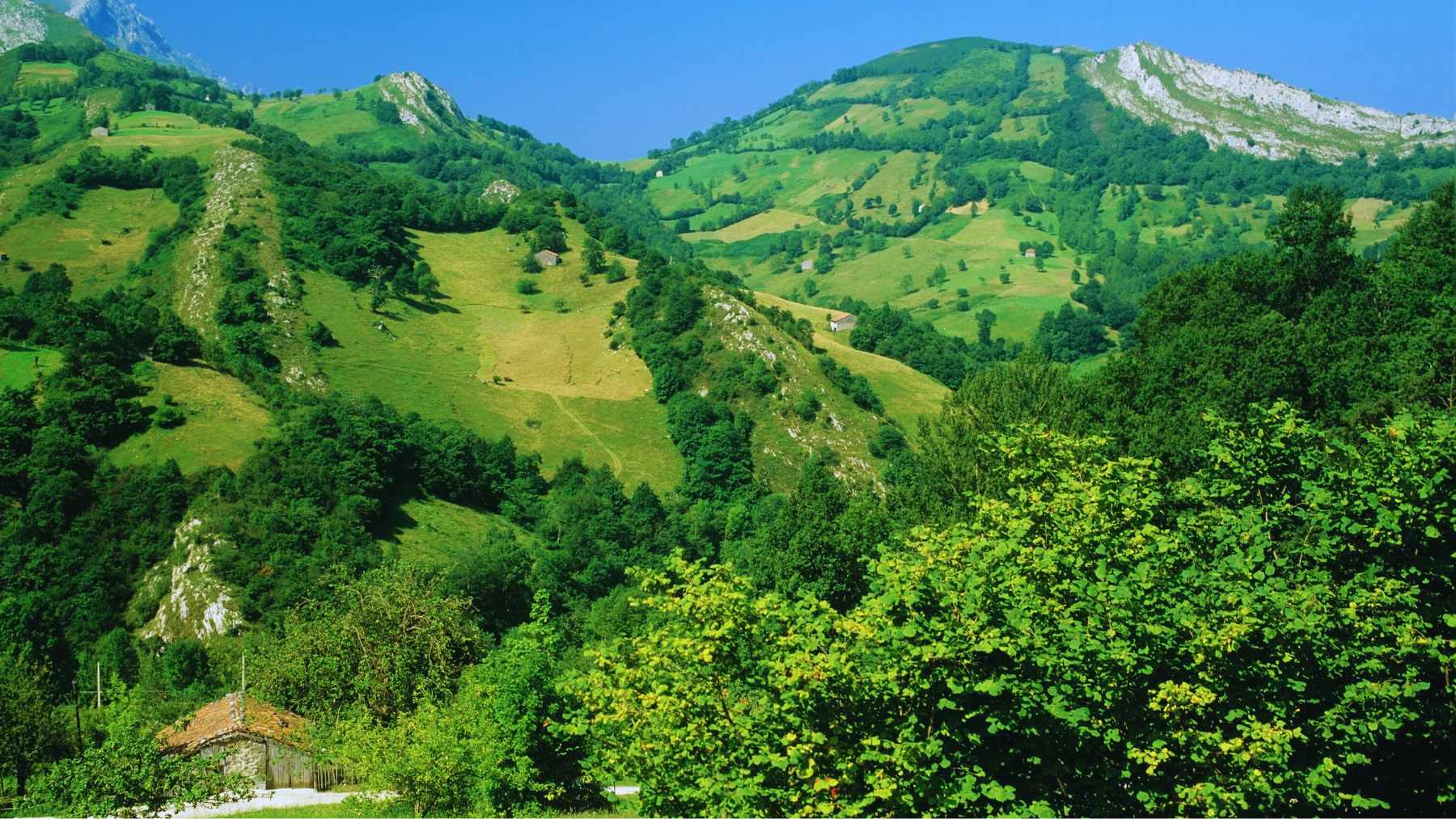 Asturias.