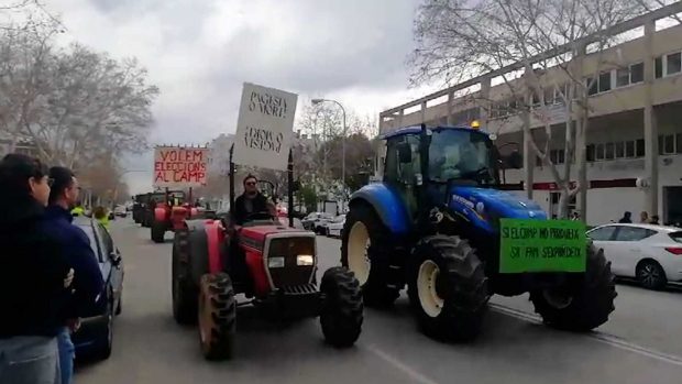 El campo balear envejece