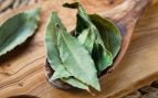 Colgar hojas de laurel en la ventana del dormitorio: para qué sirve y por qué muchos lo recomiendan en verano