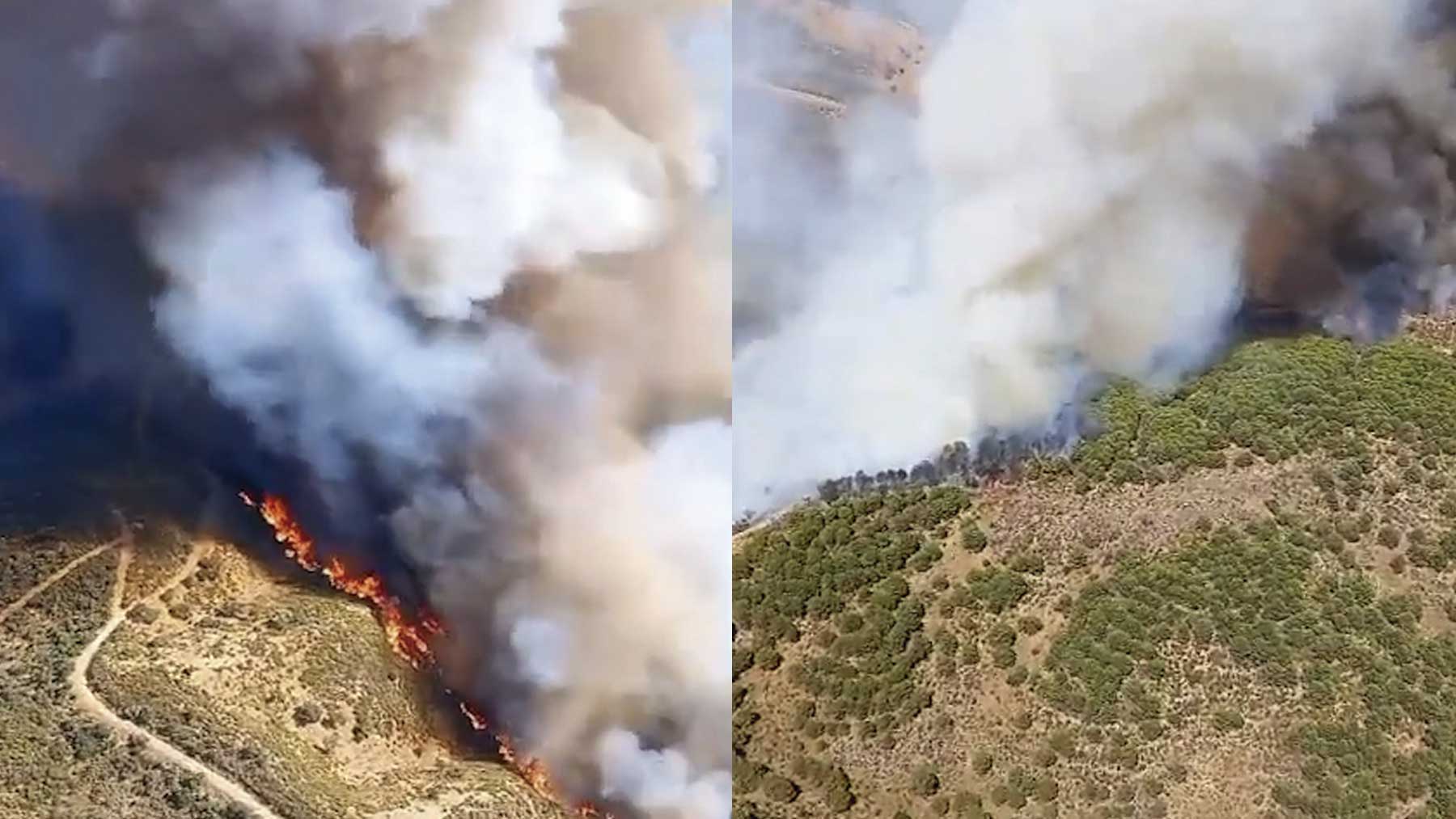 Incendio en Cerro Muriano.