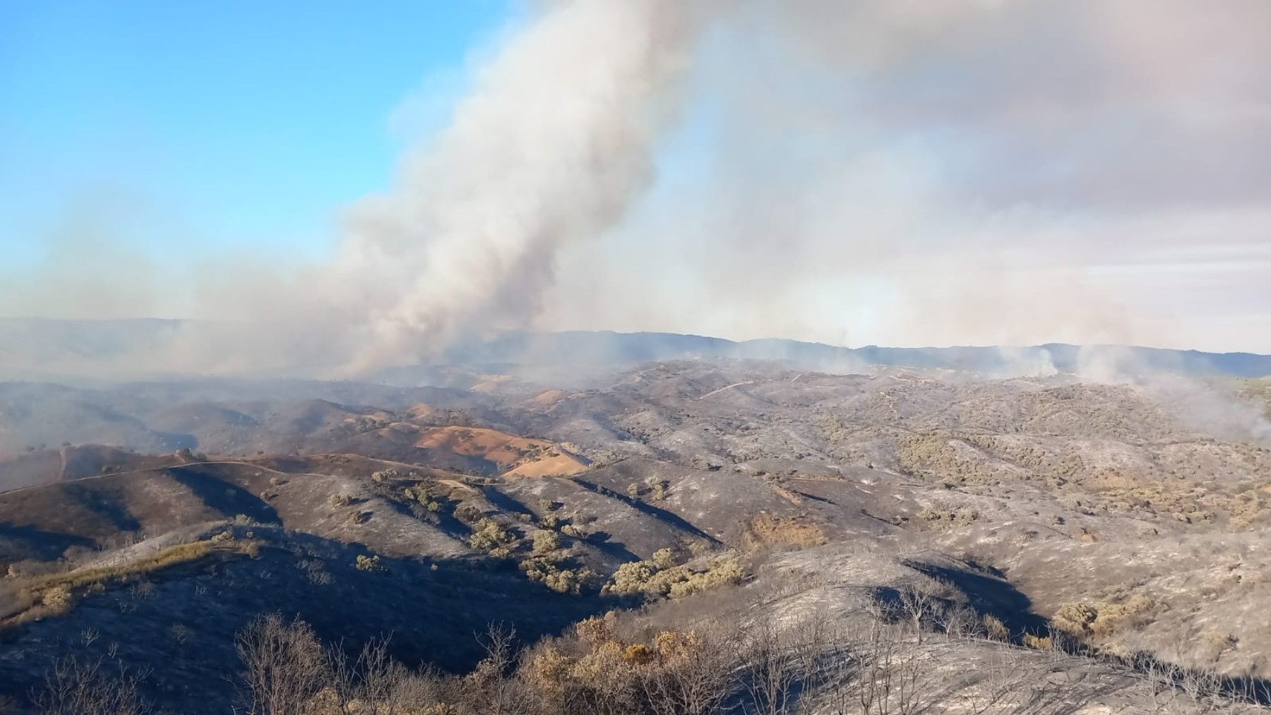 Imagen del incendio en Cerro Muriano. (Foto: Ep)