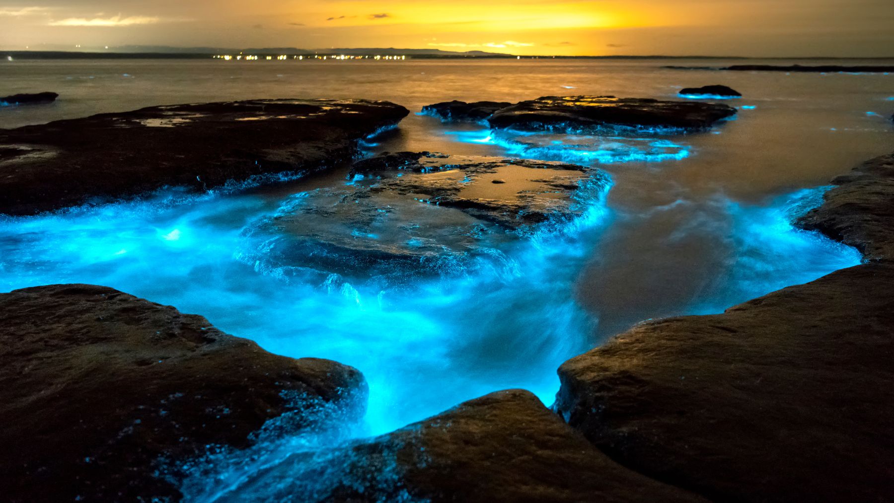 Playa bioluminiscente.