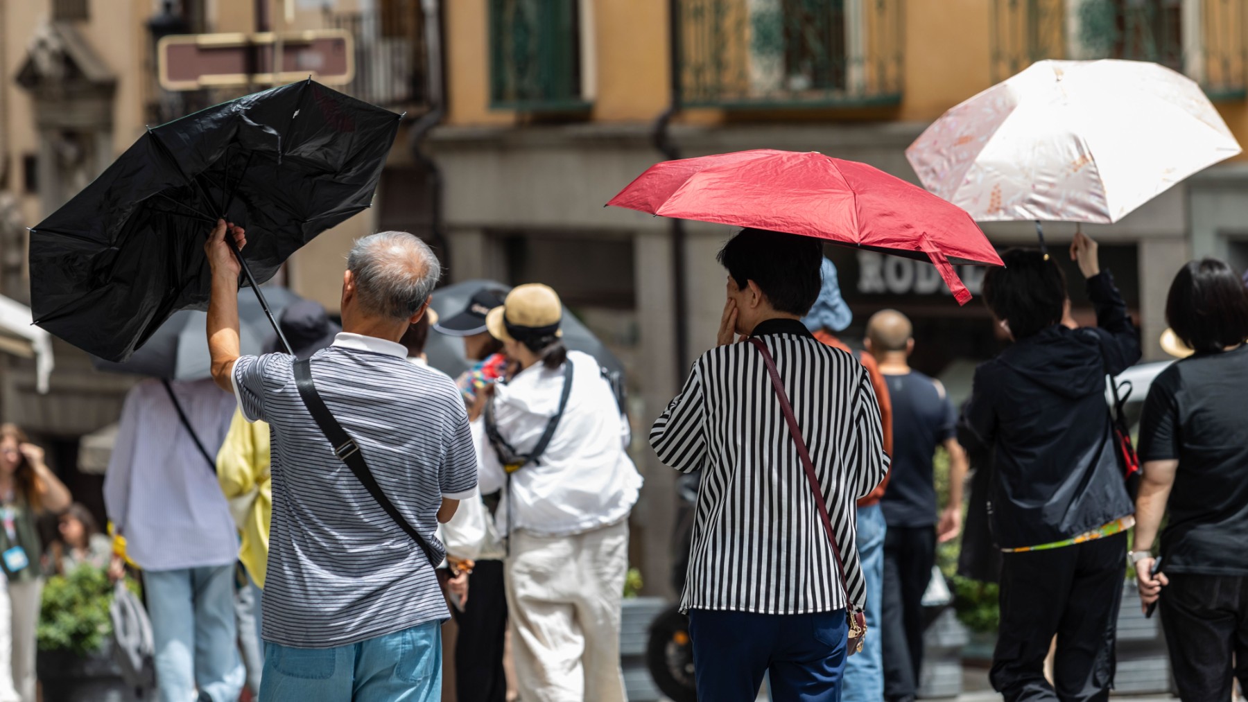 Un grupo de personas se protegen del sol con un paraguas. (EFE)