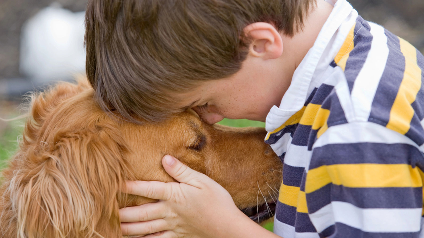 Las terapias con perros son de gran ayuda en niños con autismo.