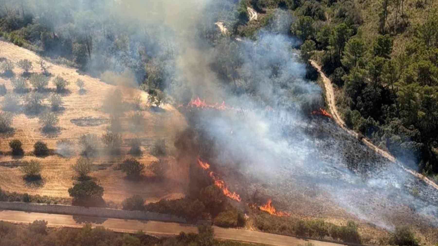 Incendio forestal declarado este mediodía en Randa, Mallorca.