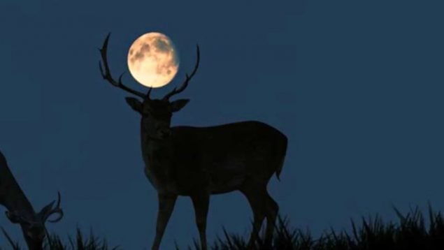 Las mejores imágenes de la Superluna de julio: así se vio la famosa ‘Luna del Ciervo’