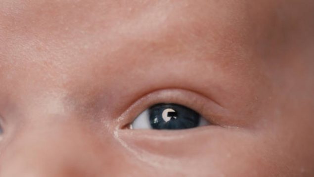 color ojos bebés