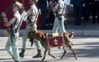 cabra de la Legión, desfile militar, 12 de octubre, Fiesta Nacional, Día de la Hispanidad, Pedro Sánchez, animales