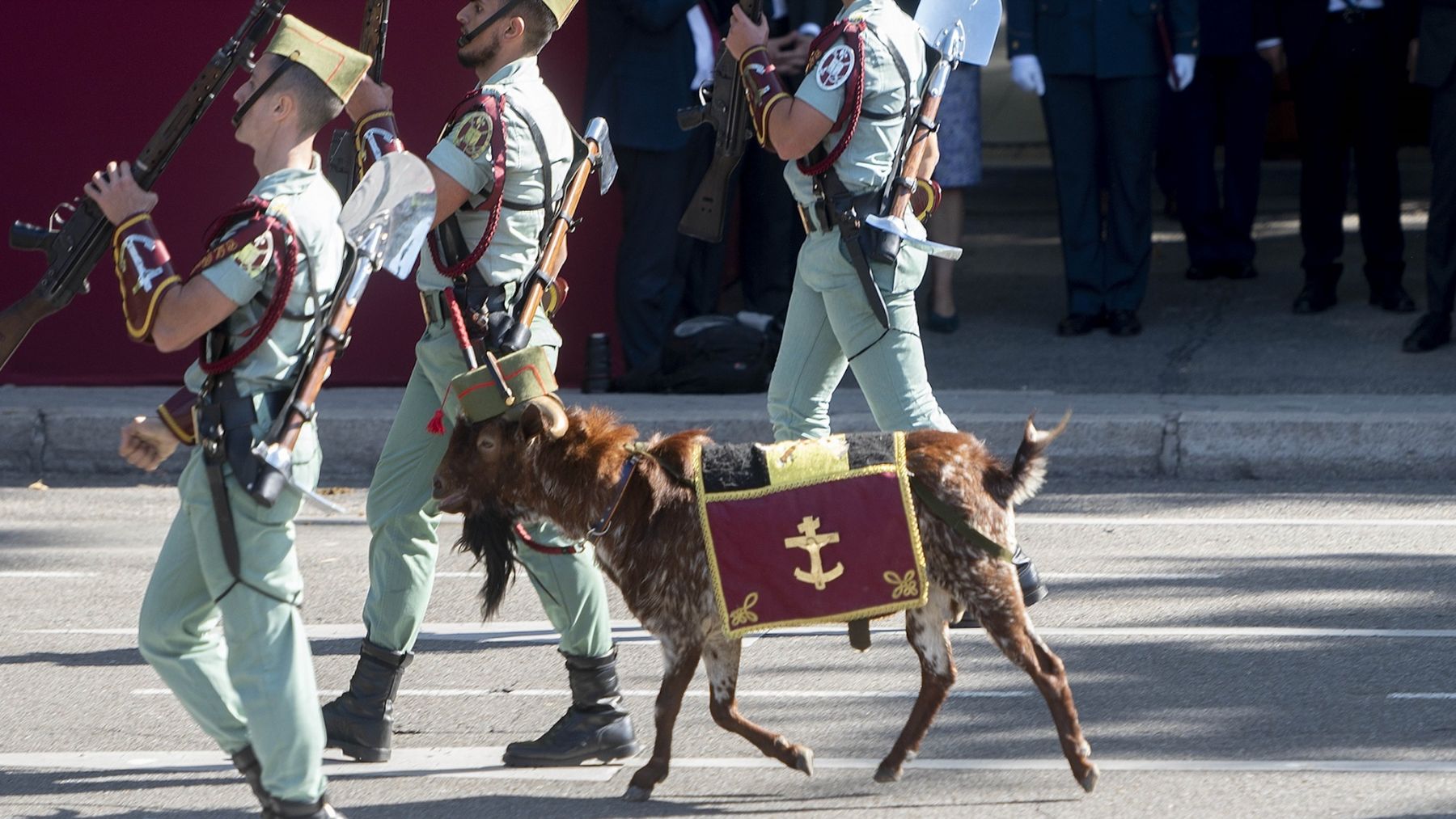 La Legión y su cabra ‘Pacoli’ durante el desfile del 12 de octubre. (FOTO: E.P.)