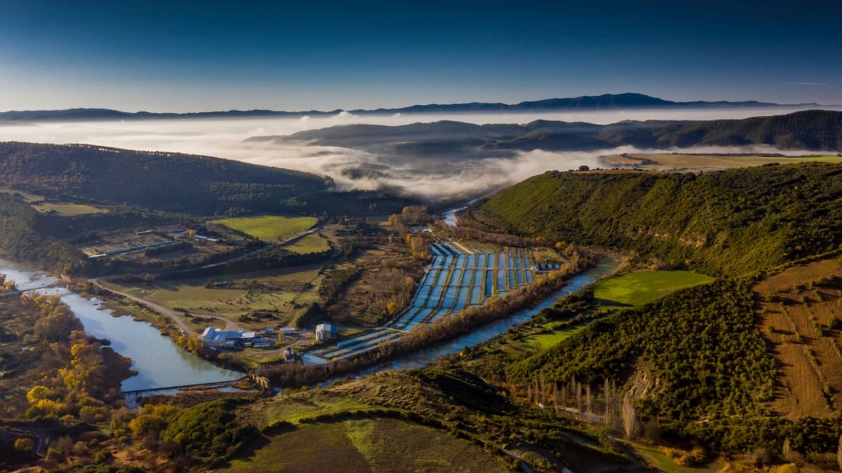 Acuicultura en tierra firme