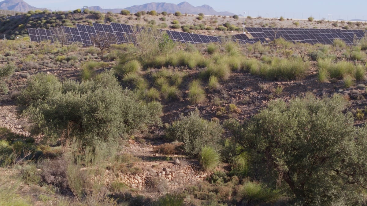 Parque solar fotovoltaico de Cosentino en Cantoria (Almería)