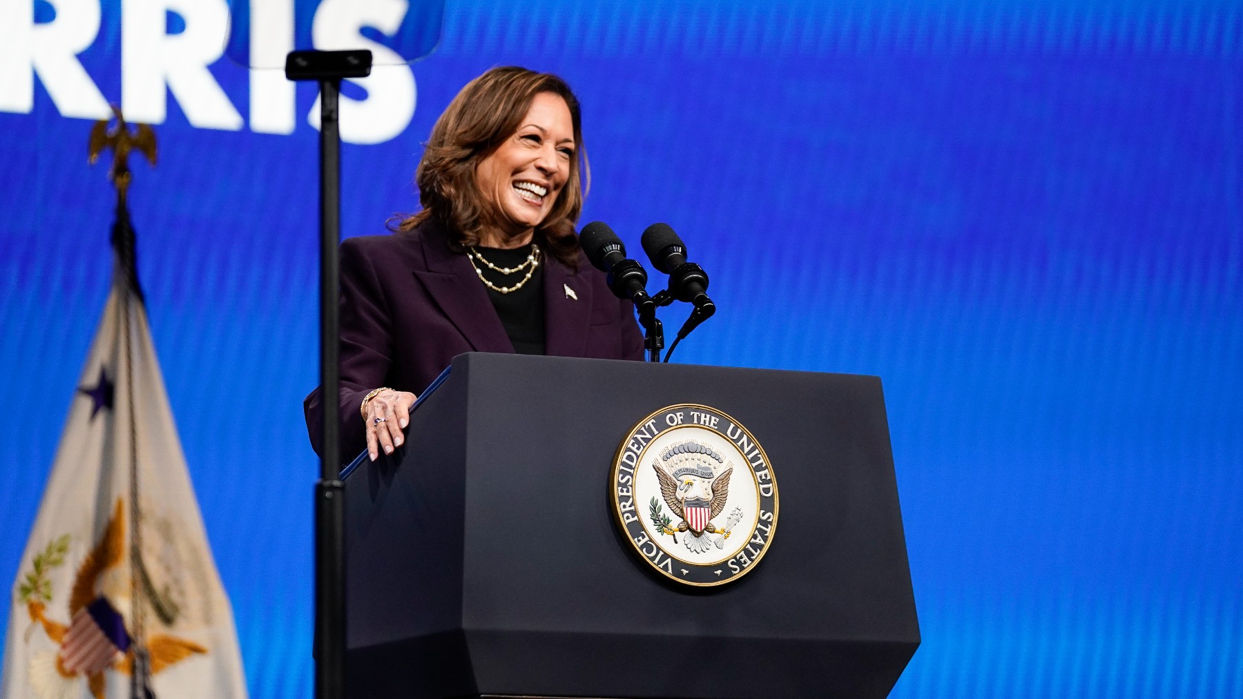 Kamala Harris, US Steel, Nippon Steel