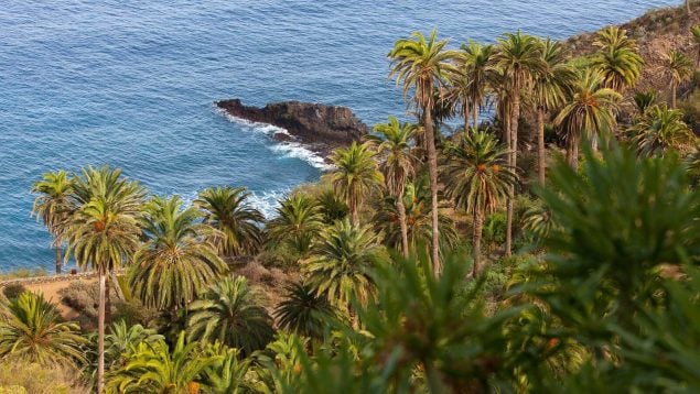 Senderismo en Tenerife