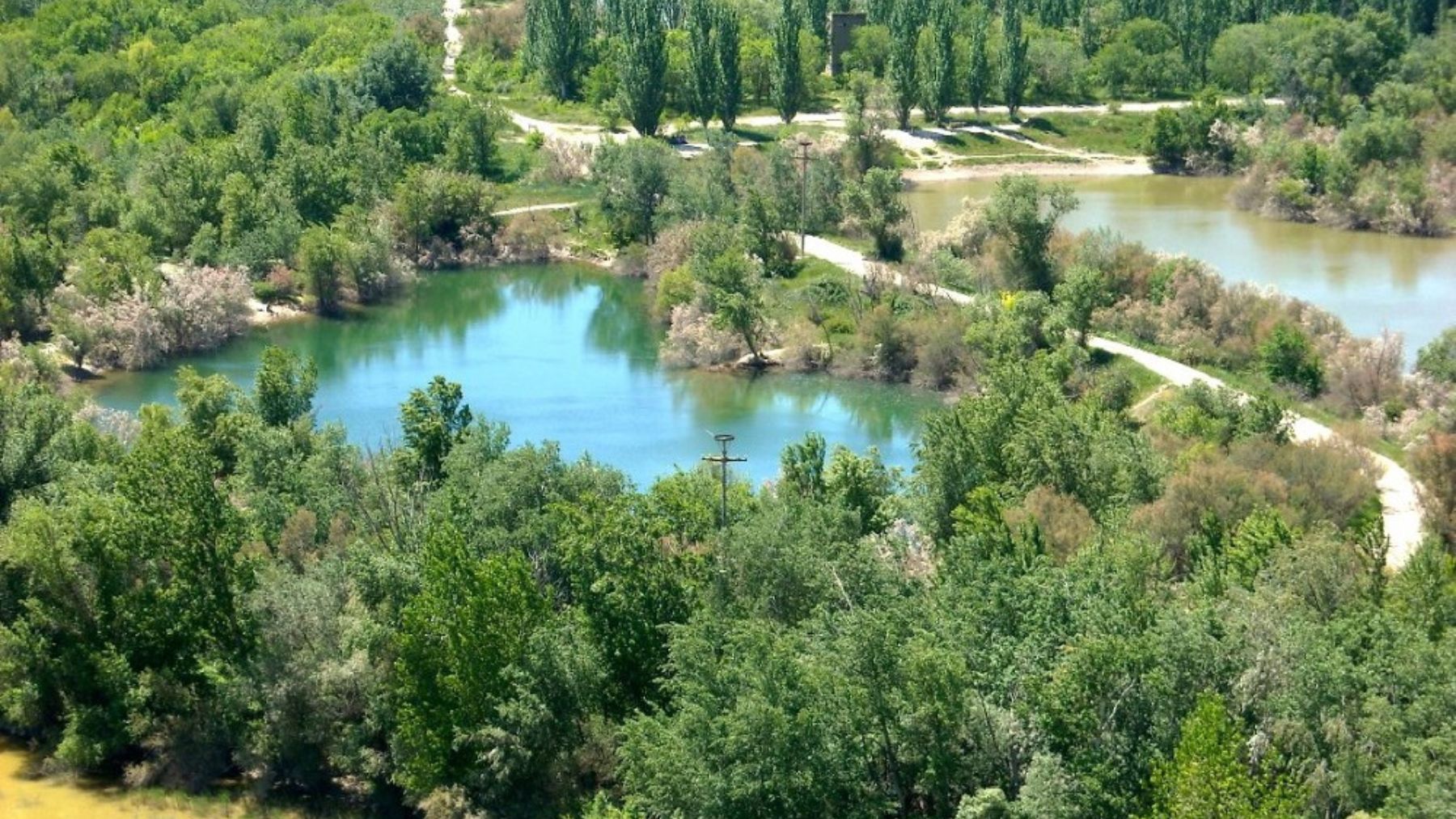 Ruta del Galacho de Juslibol en Zaragoza. Foto: Turismo de Aragón