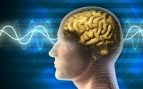 La nicotina frente al espejo de la ciencia: un estudio identifica un mecanismo cerebral asociado a la mejora de la memoria