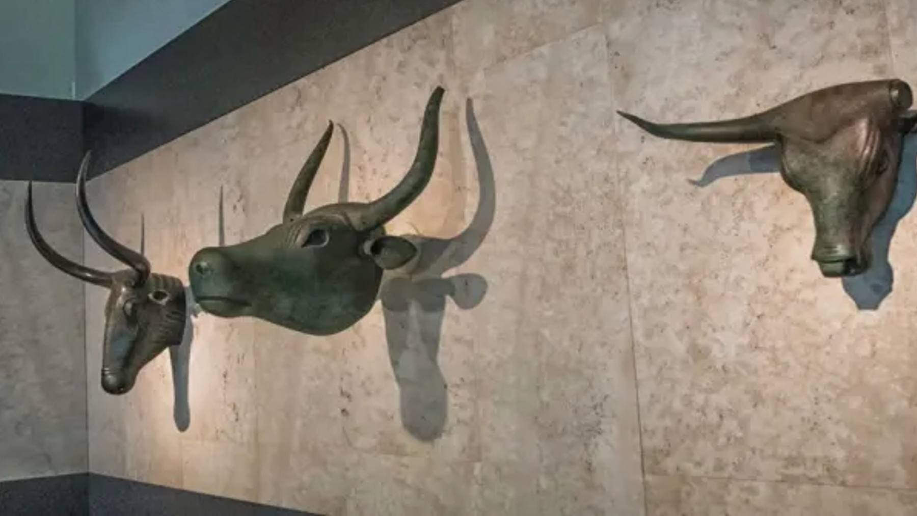 Las tres cabezas de toros de expuestas en el Museo Arqueológico Nacional.