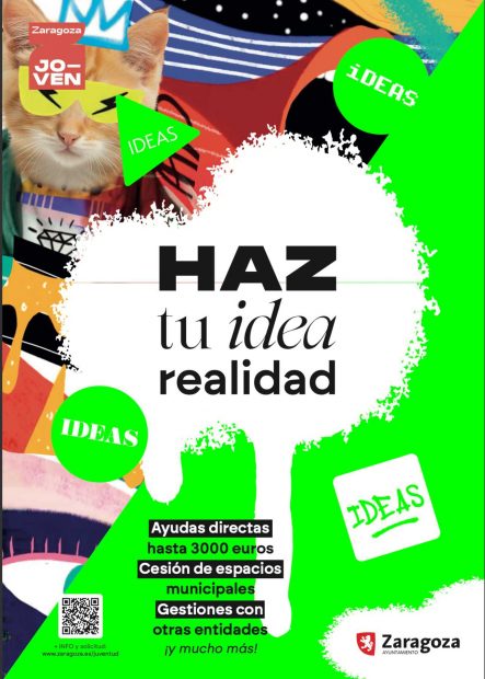  Zaragoza programa Idea 