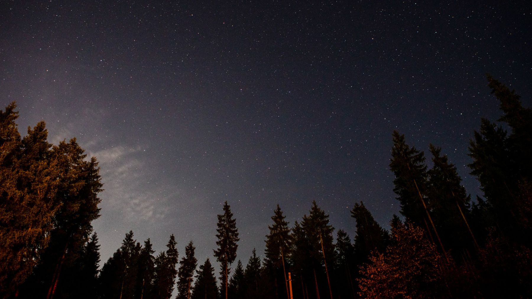 Conoce el nombre que reciben las Perseidas. Foto: Freepik