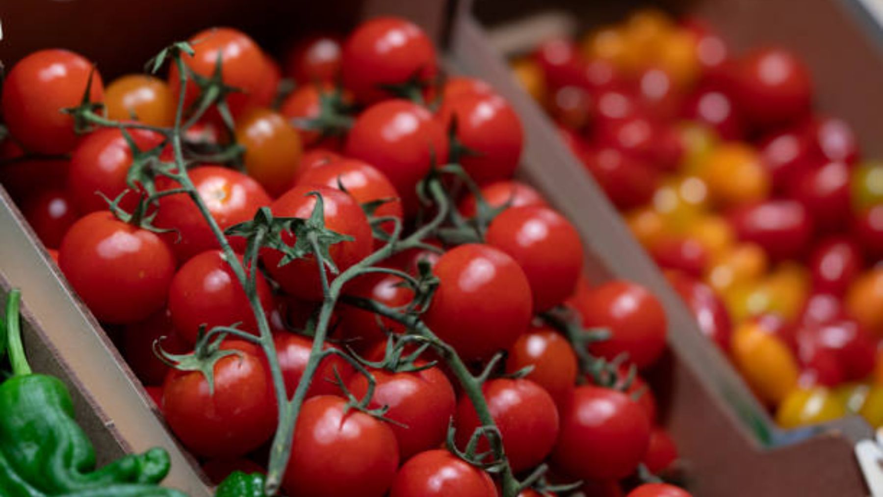 Tomates en una frutería.