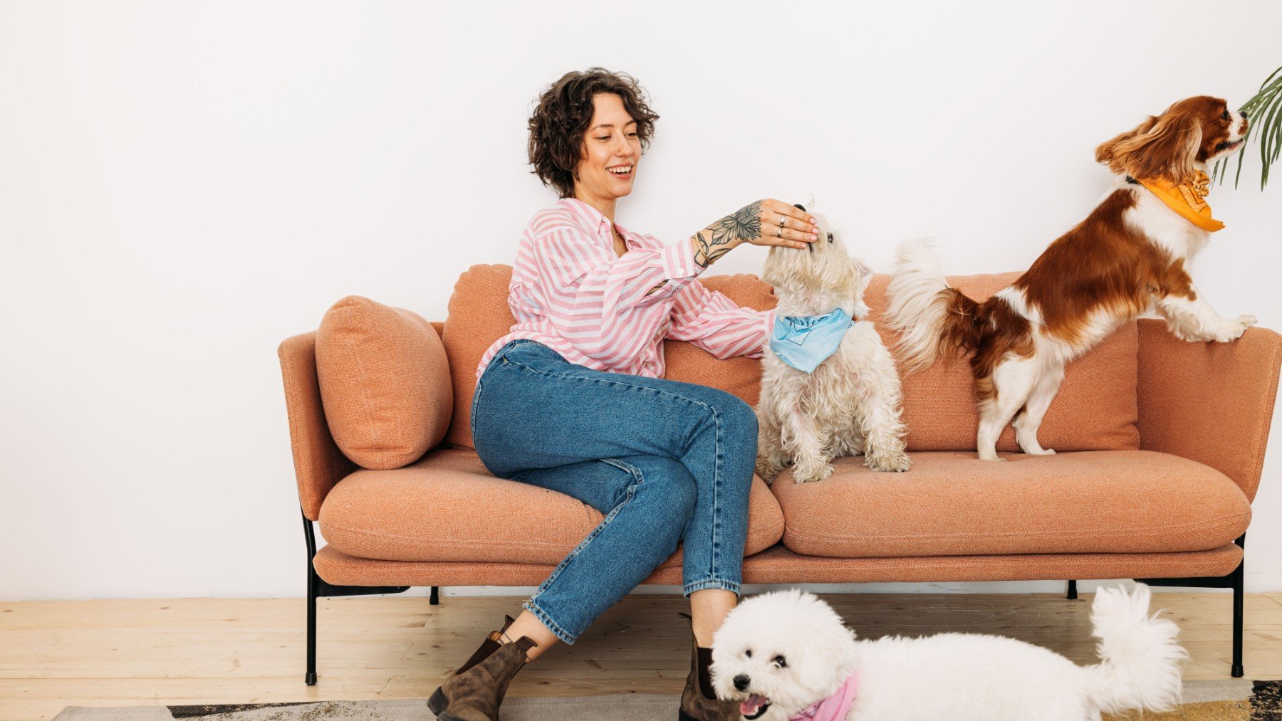 Una dueña con varios perros encima del sofá (Foto: RSCE)