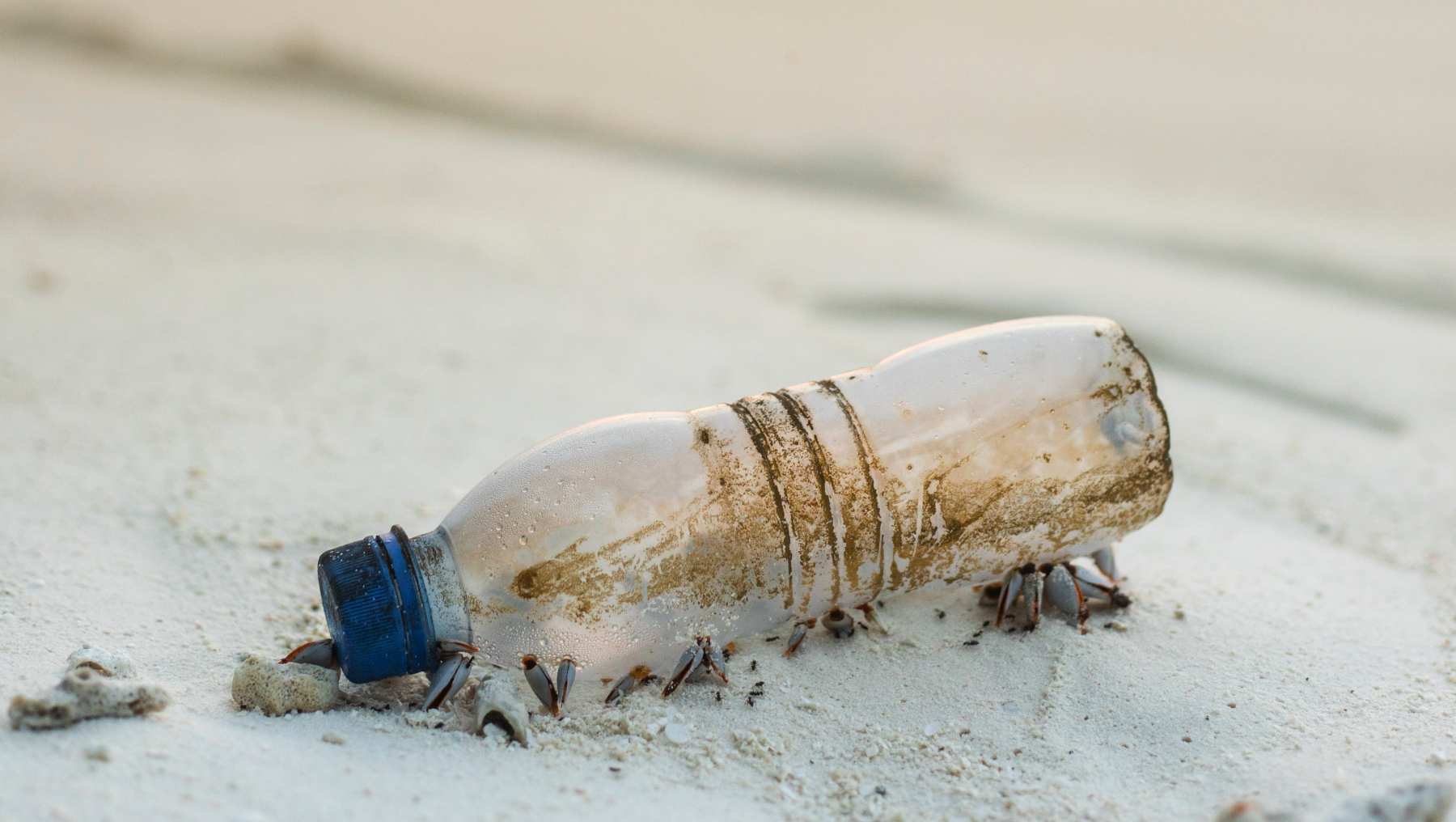 Plásticos en mares.