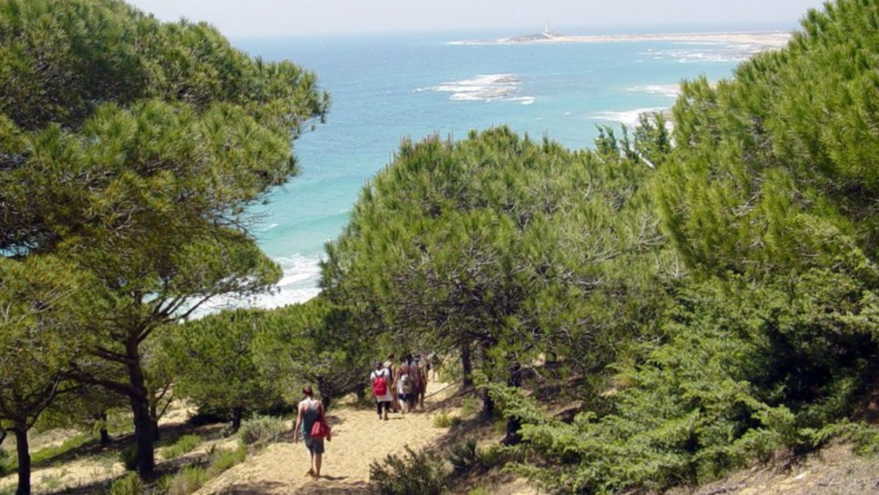 Este sendero es uno de los más espectaculares de Andalucía. Foto: Turismo de Andalucía