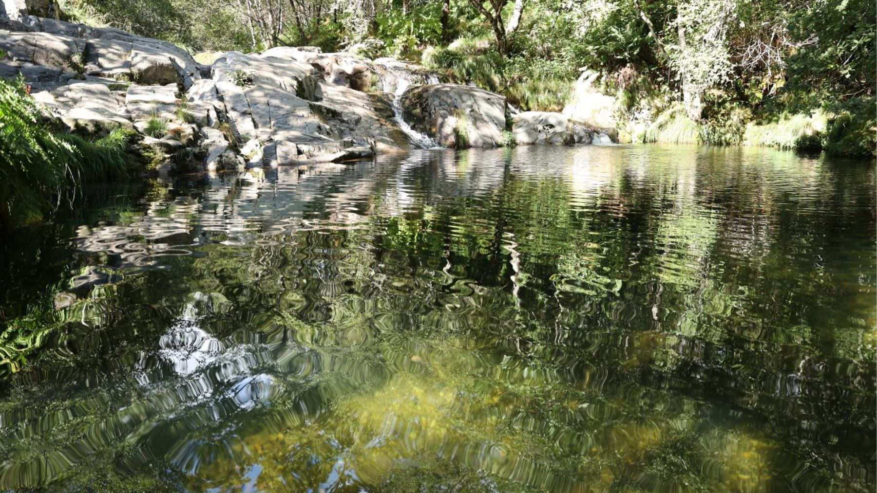 Conoce esta ruta de Melón, un pueblo de la provincia de Orense en Galicia. Foto: Turismo Orense