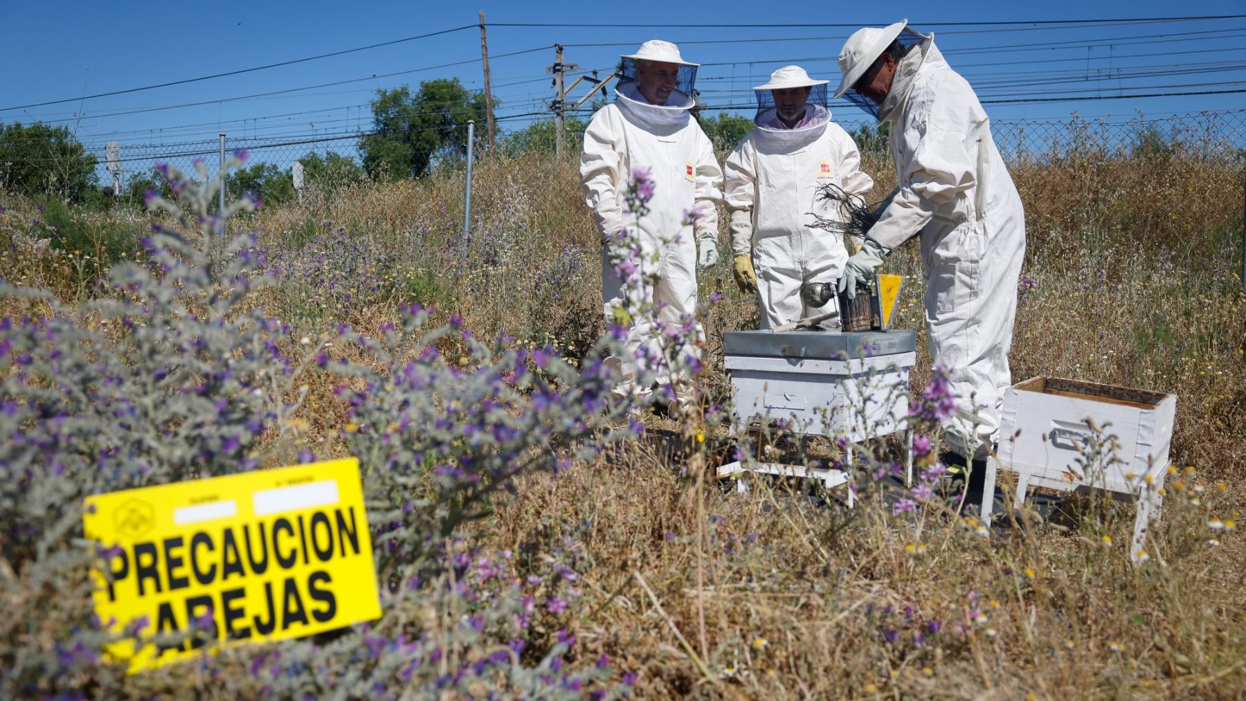 Apicultores trabajando cerca de sus colmenas (Foto: D. Sinova / Comunidad de Madrid)